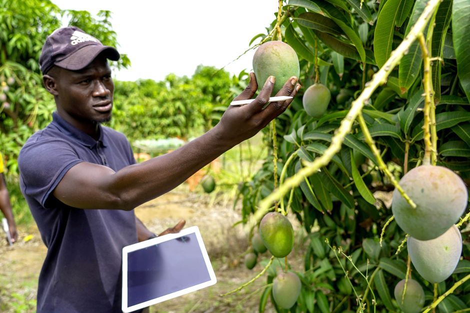 Immutable Isn’t the Same as True: Why Traceability Needs Governed Provenance