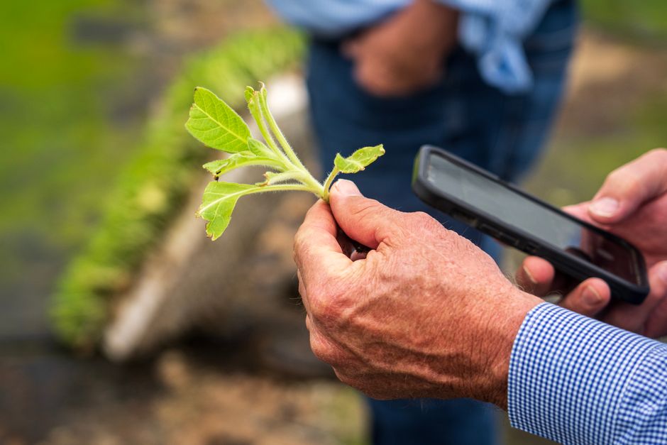 A farmer using a mobile device to record field data